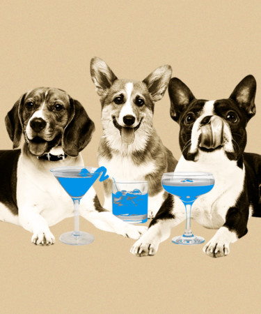Ask Adam: Should I Bring My Dog to the Outdoor Bar?