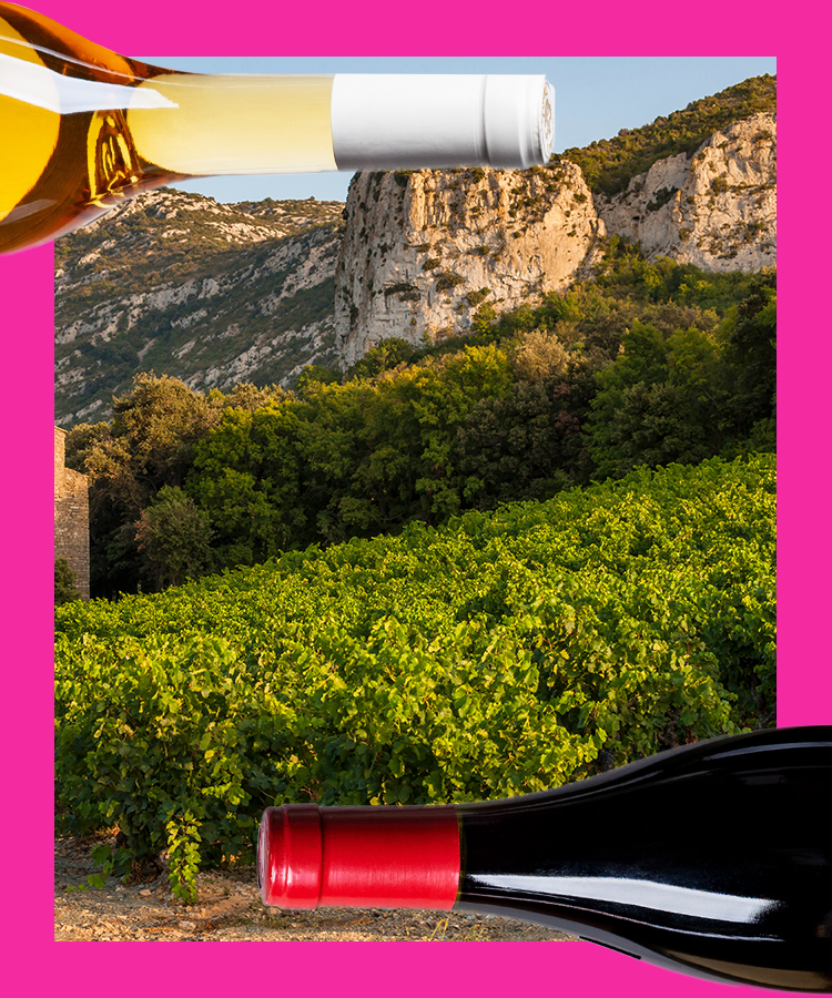 10 of the Best 168体彩开奖官网开奖网站正规网址 Red Wines From France’s Languedoc
